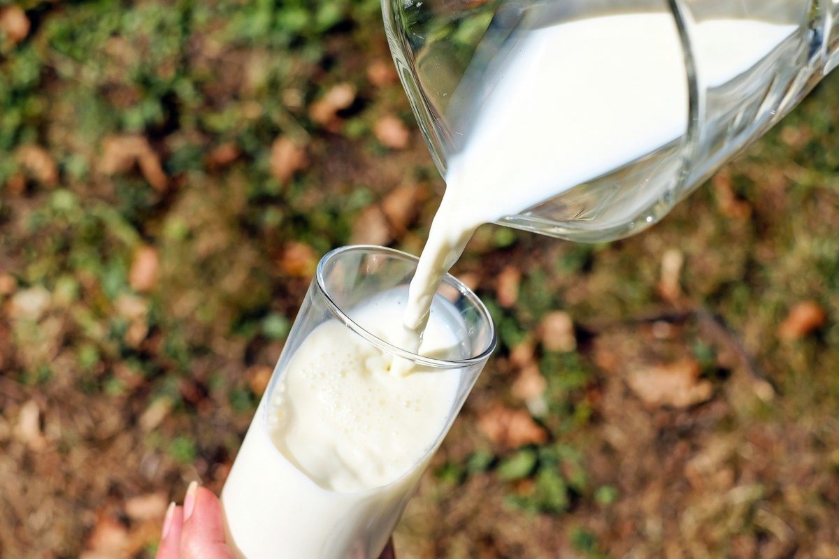 Milch statt Sahne – Beim Backen und Kochen ersetzbar?
